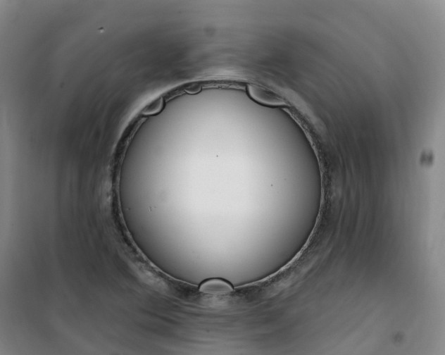 X0000101181364200807111105