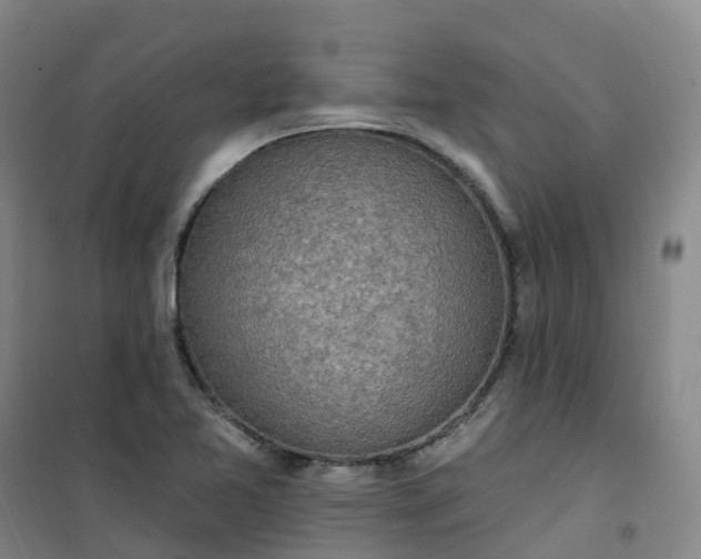 X0000101181365200807111105