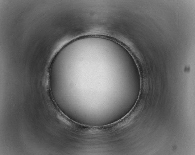 X0000101181366200807111105