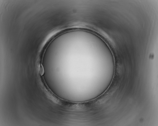 X0000101181368200807111105