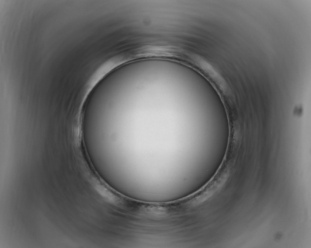 X0000101181370200807111105