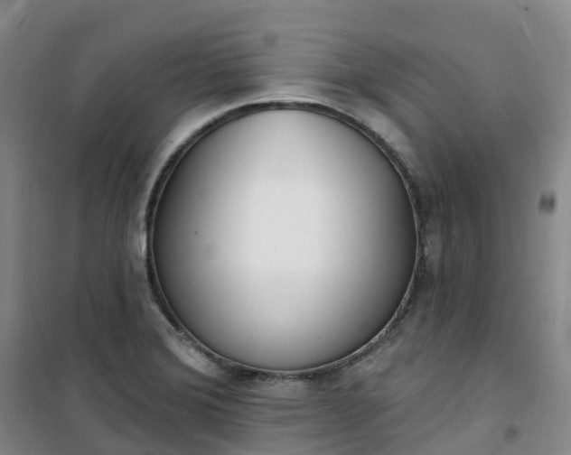 X0000101181372200807111105