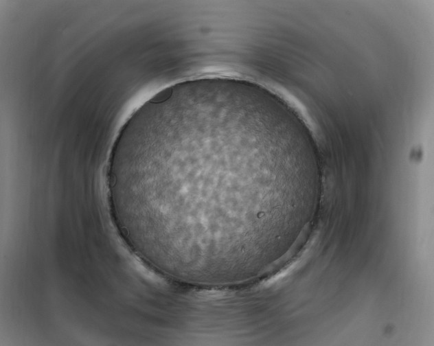 X0000101181373200807111105
