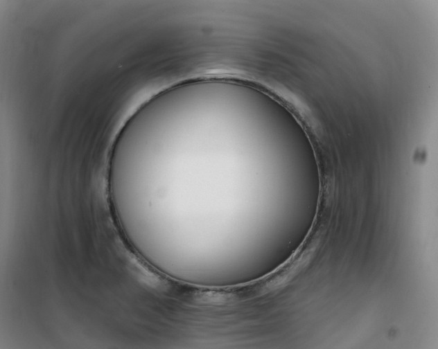 X0000101181374200807111105