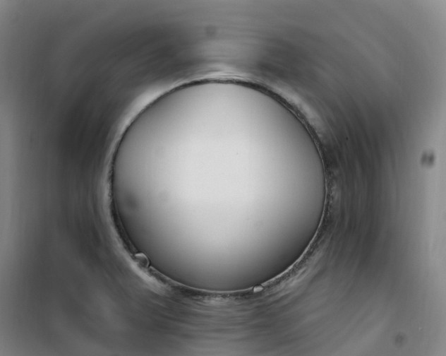 X0000101181375200807111105