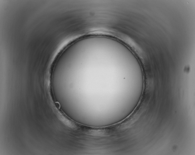 X0000101181376200807111105