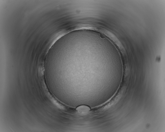 X0000101181377200807111105