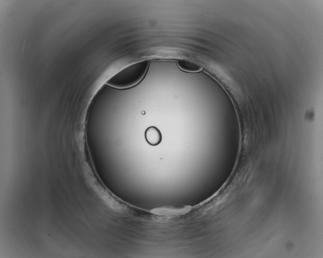 X0000101181378200807111105