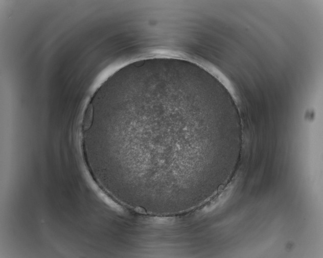X0000101181381200807111105