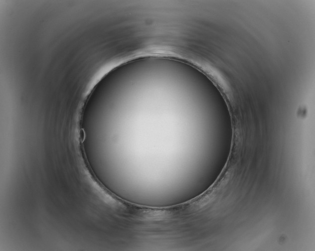 X0000101181382200807111105