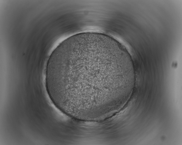 X0000101181383200807111105