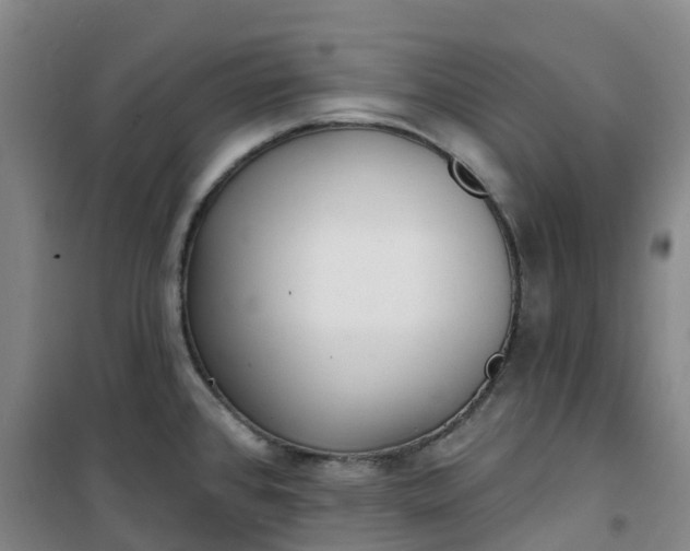 X0000101181384200807111105