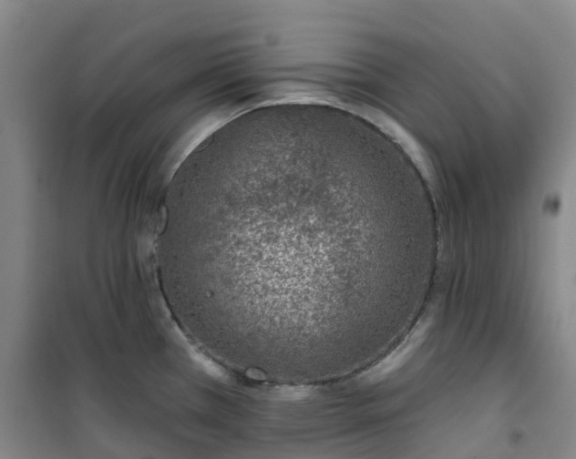 X0000101181385200807111105