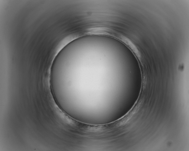 X0000101181386200807111105