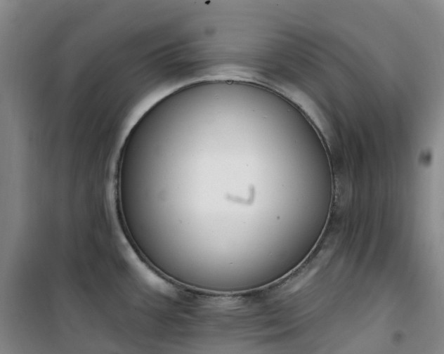 X0000101181387200807111105