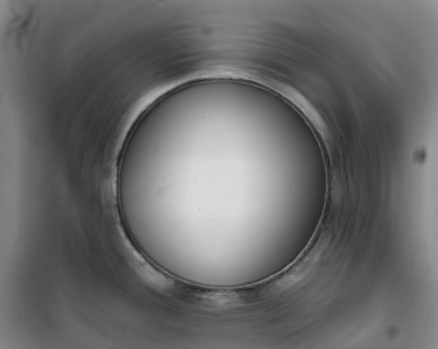 X0000101181388200807111105