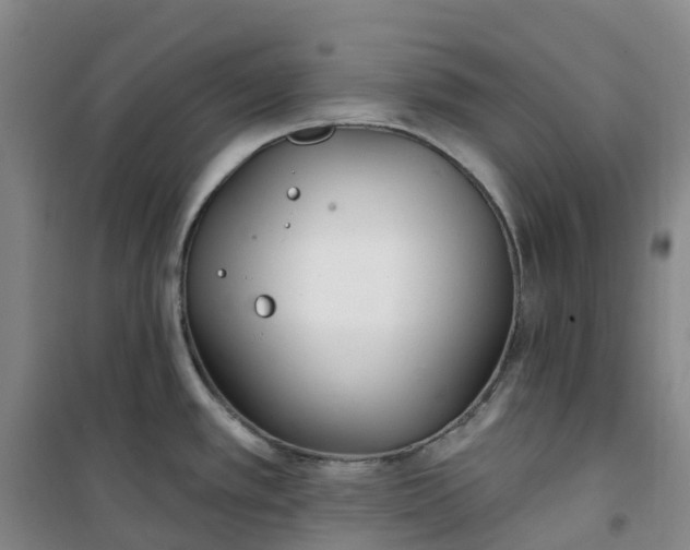 X0000101181389200807111105