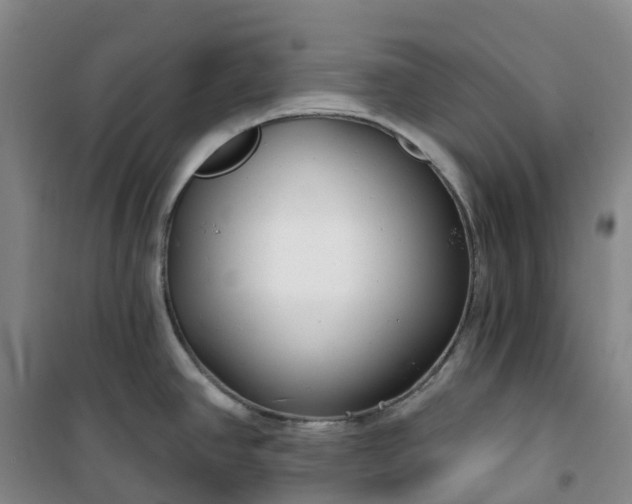 X0000101181390200807111105