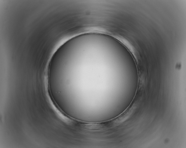X0000101181391200807111105
