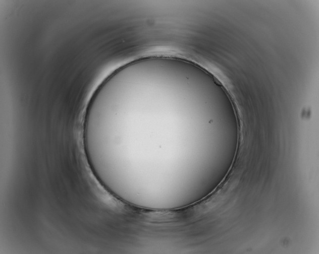 X0000101181392200807111105
