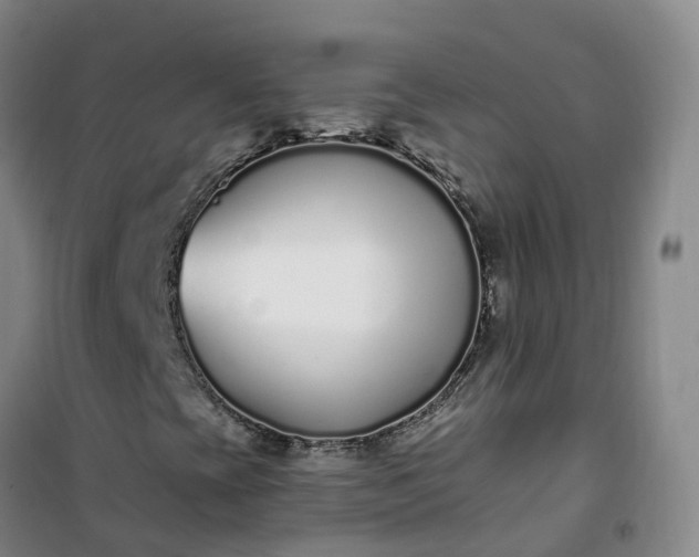 X0000101181393200807111104