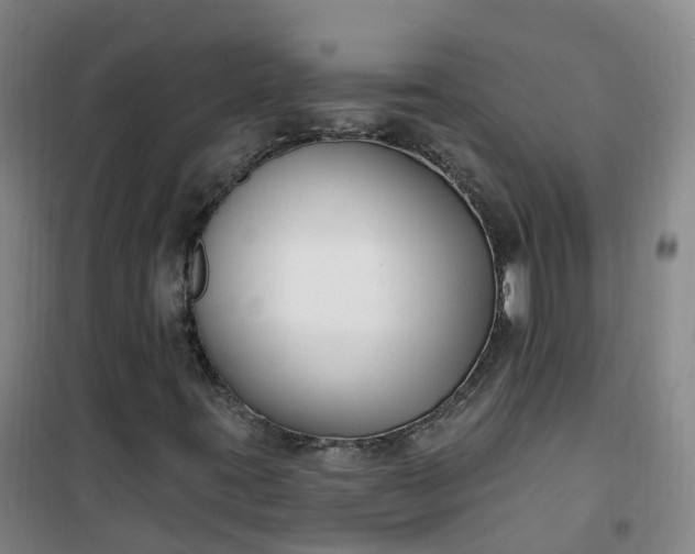 X0000101181395200807111104