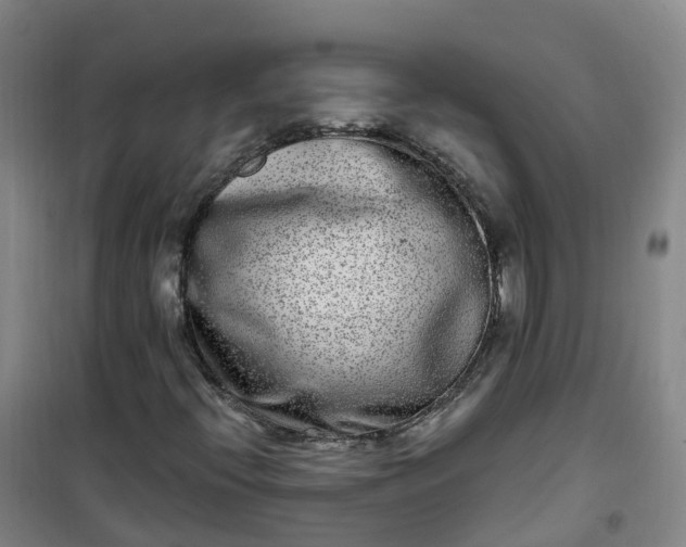 X0000101181396200807111104