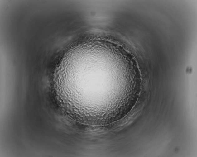 X0000101181397200807111104
