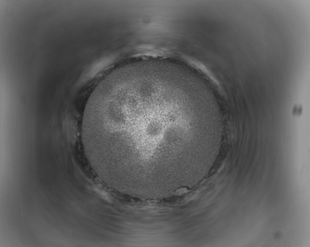 X0000101181399200807111104