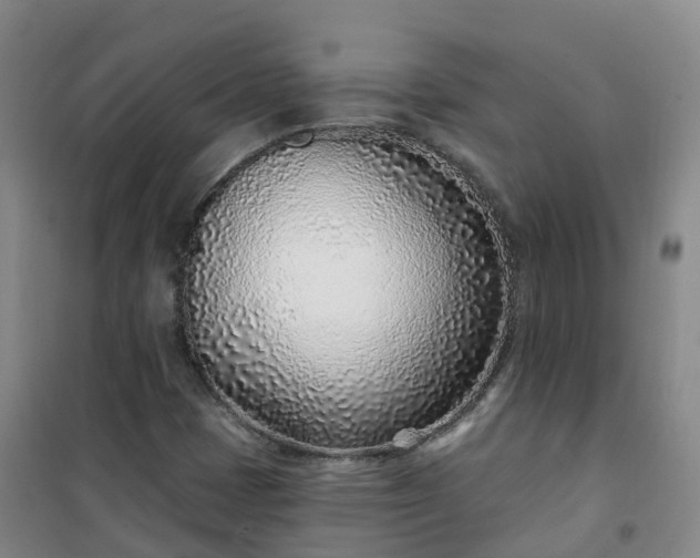 X0000101181401200807111104