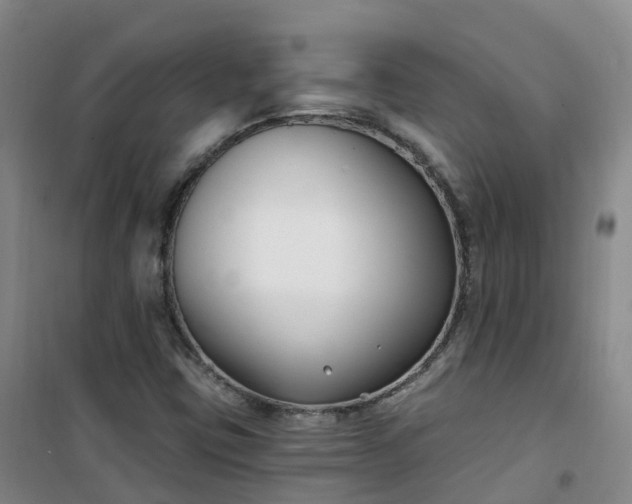 X0000101181403200807111104