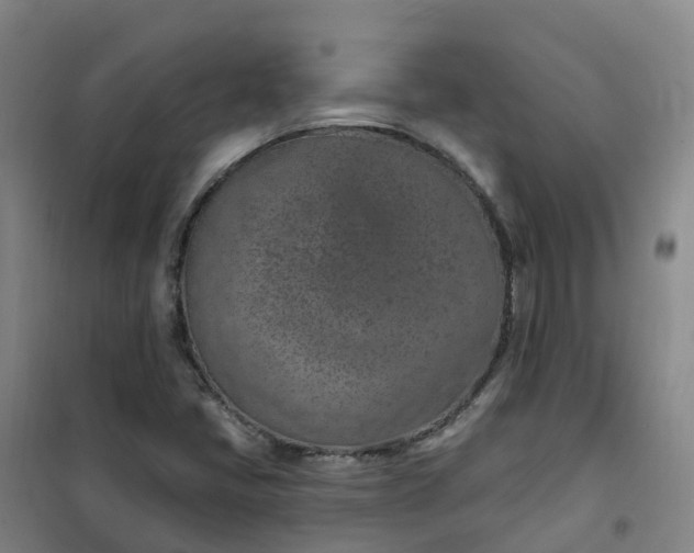 X0000101181405200807111104