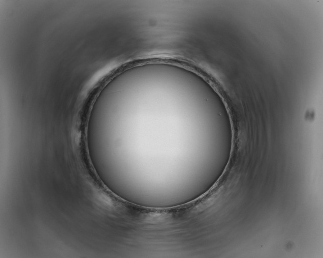X0000101181406200807111104