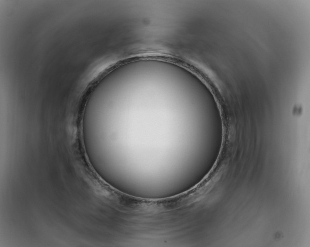 X0000101181407200807111104