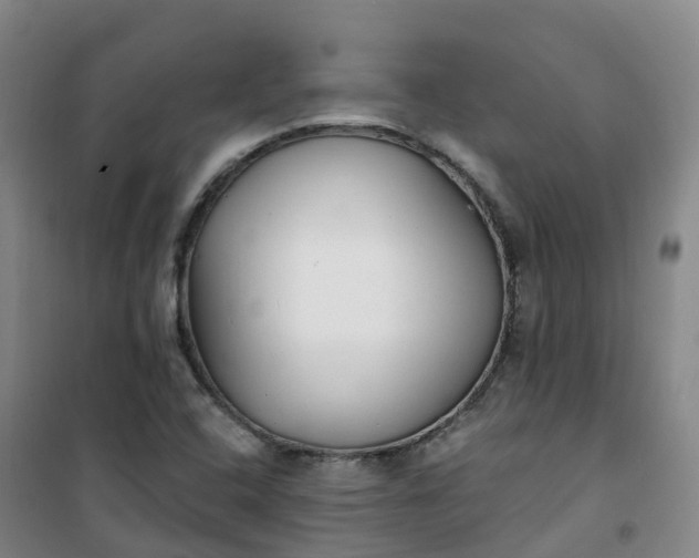X0000101181408200807111105