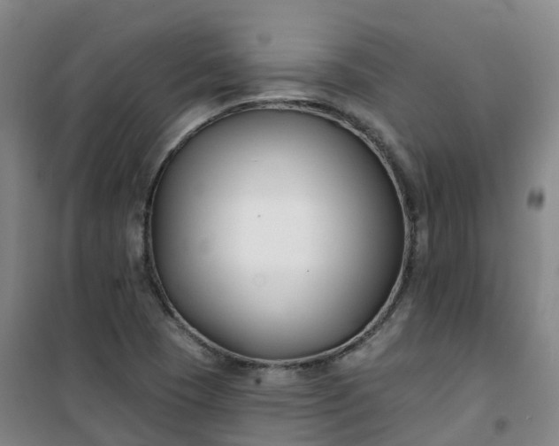 X0000101181409200807111105
