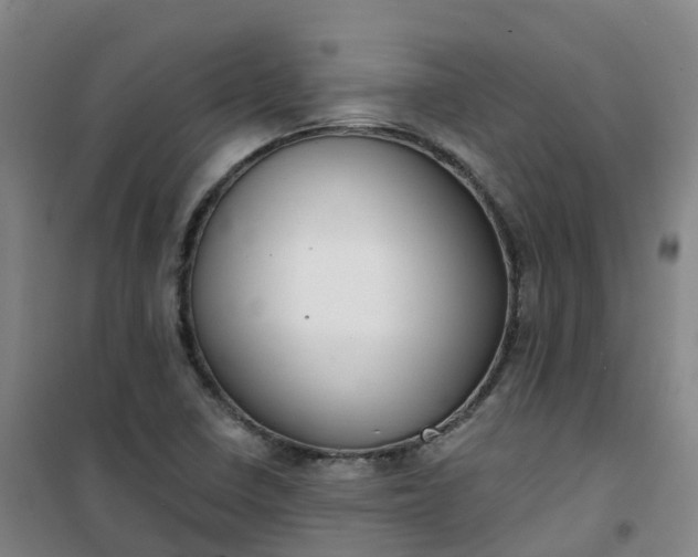 X0000101181410200807111105