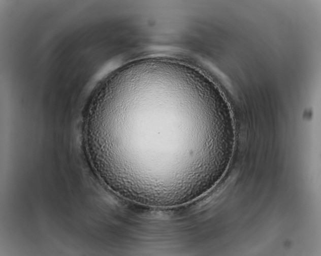 X0000101181411200807111105