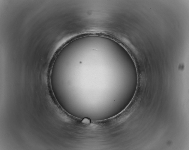 X0000101181412200807111105