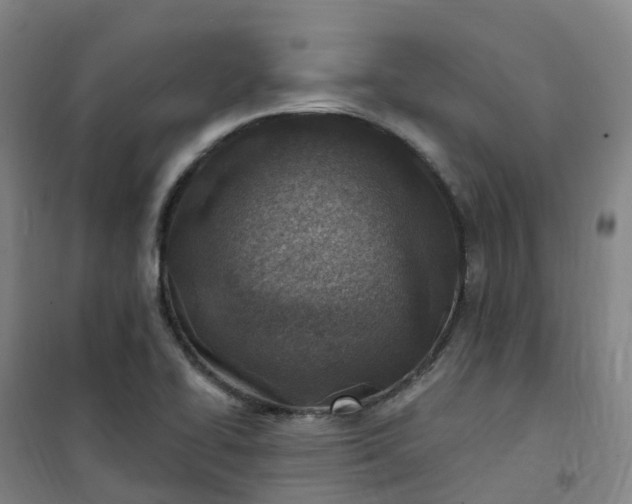 X0000101181414200807111105