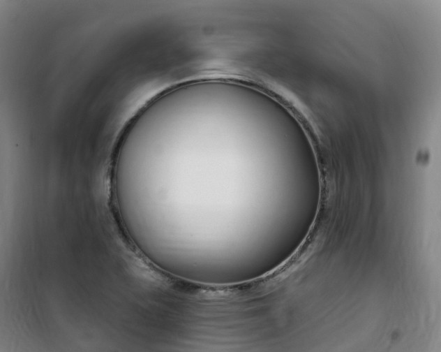 X0000101181415200807111105