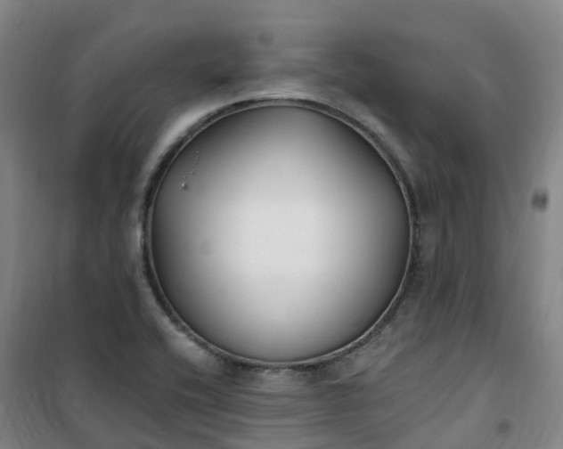 X0000101181416200807111105