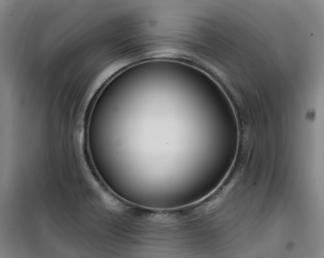 X0000101181418200807111105