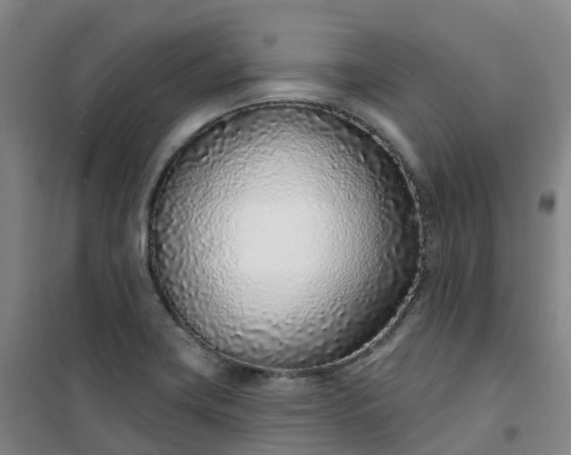 X0000101181419200807111105