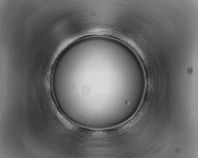 X0000101181421200807111105