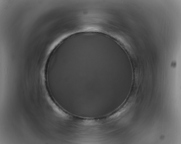X0000101181422200807111105