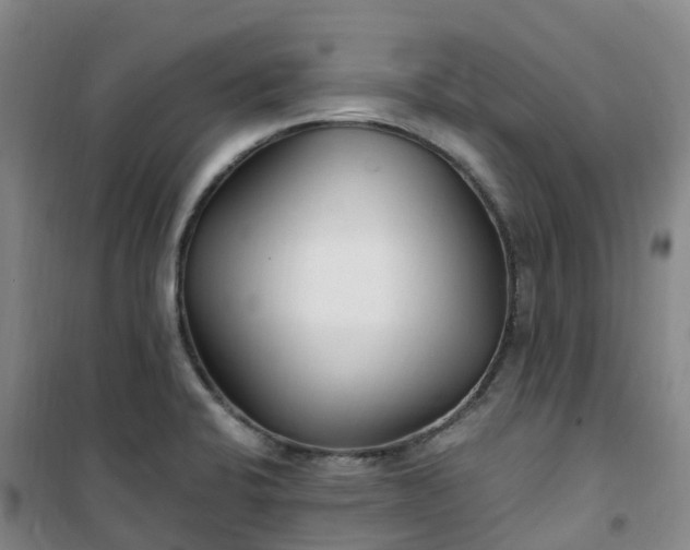 X0000101181424200807111105