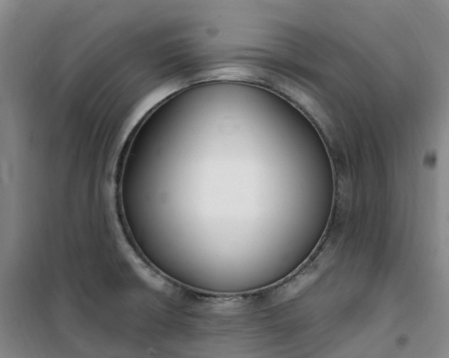 X0000101181426200807111105