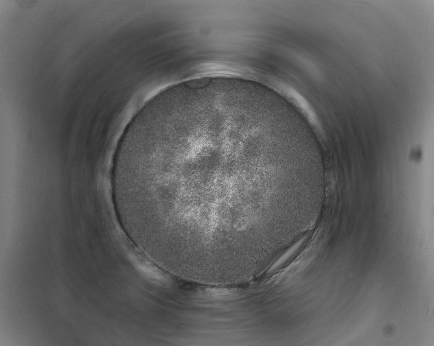 X0000101181427200807111105
