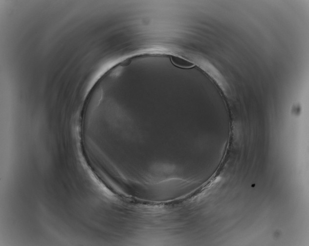 X0000101181428200807111105